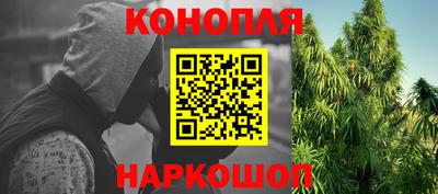 стаф Бийск