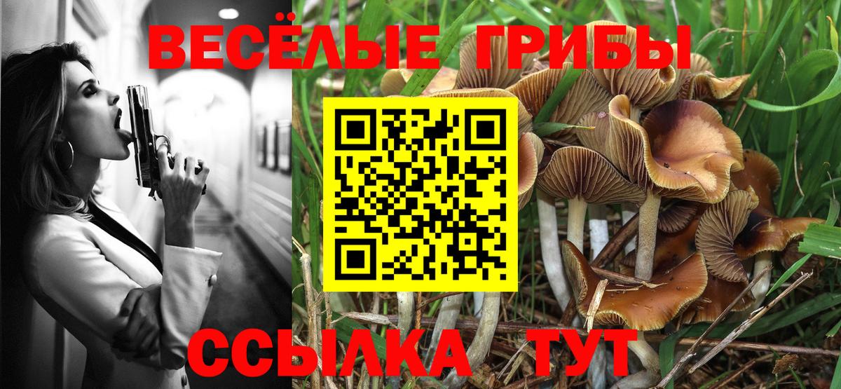 Галлюциногенные грибы ЛСД Зима