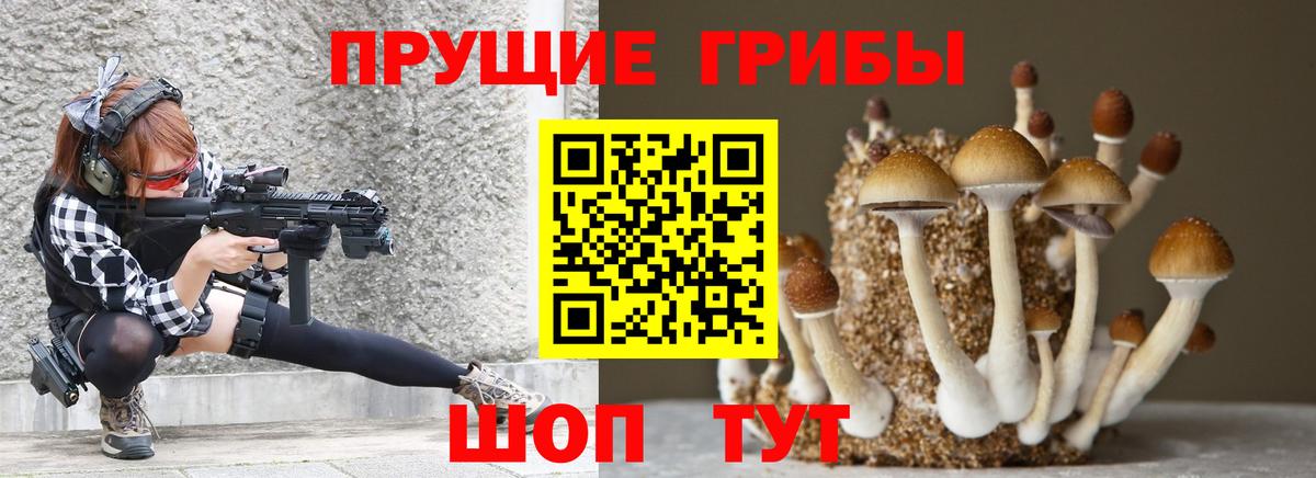 Псилоцибиновые грибы Cubensis  Вход с VPN  Зима 